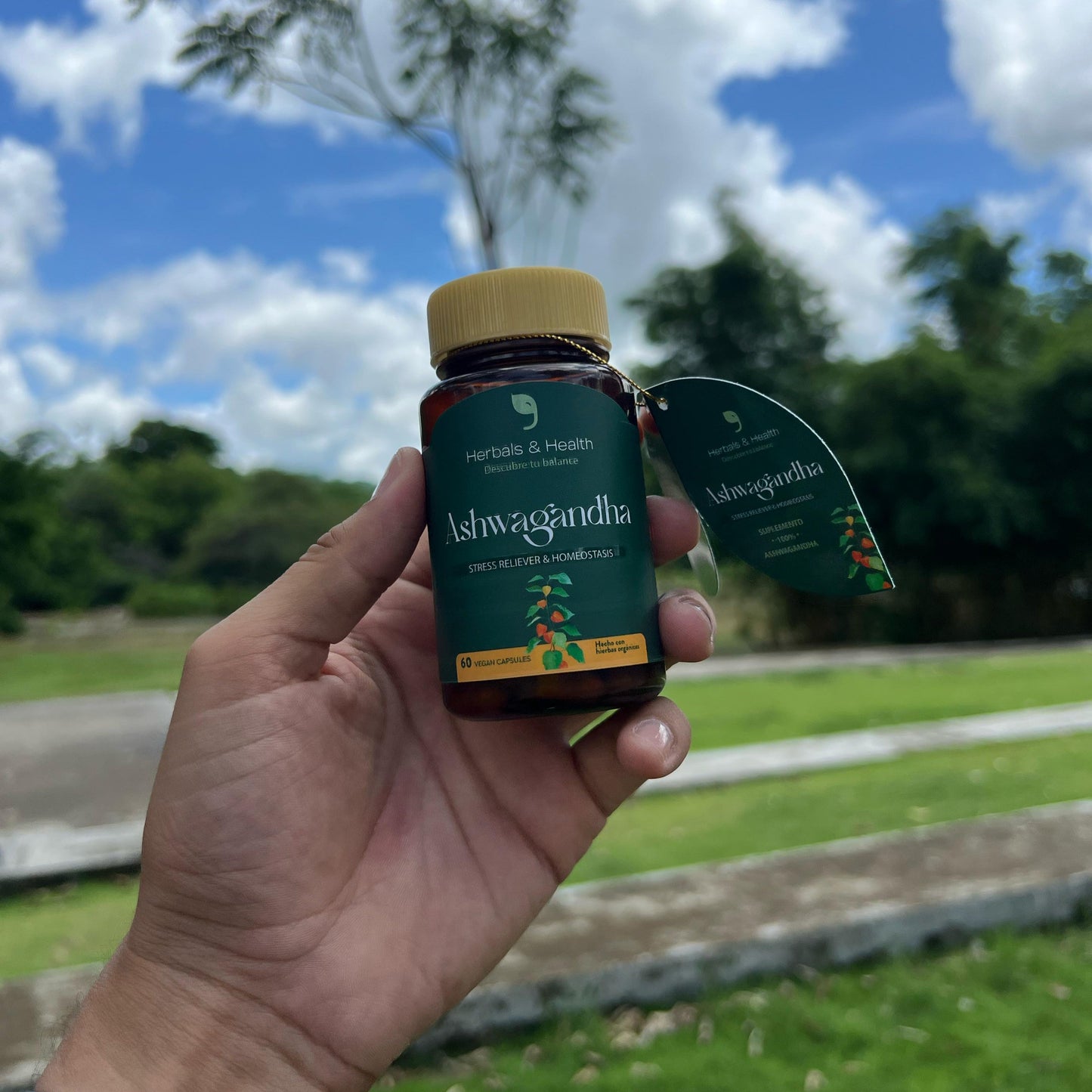 ASHWAGANDHA Reductor de estrés 60 Caps.